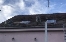 IMG_0652